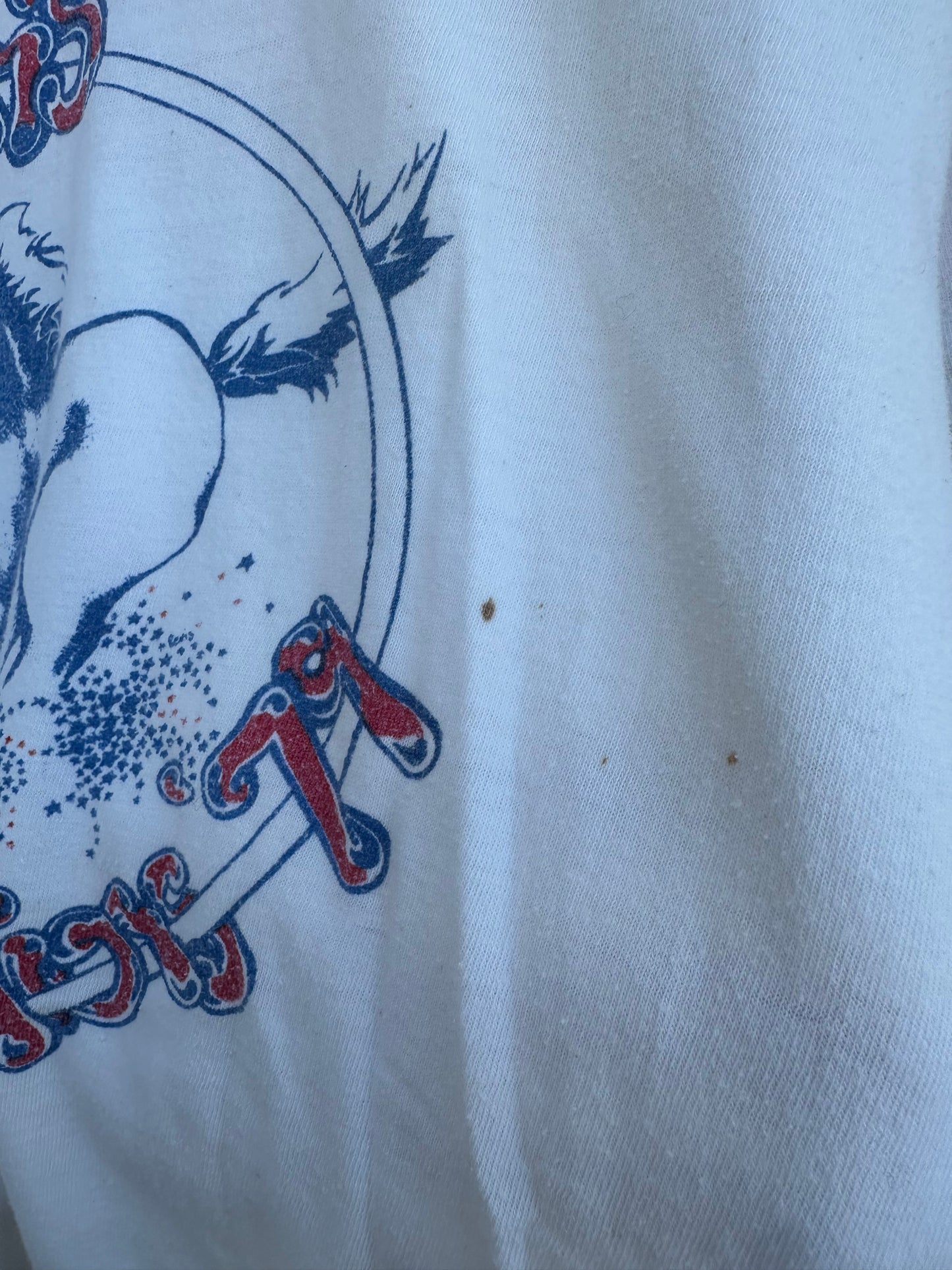 Vintage Single Stitch Rodeo Tee (L)